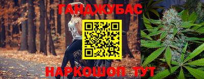 Альфа ПВП Моздок