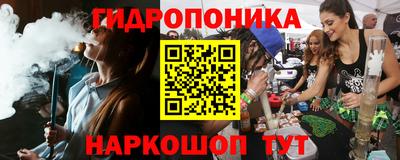 Альфа ПВП Моздок