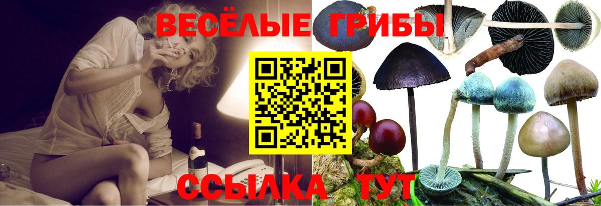 дарнет шоп  Вход с VPN  Фурманов  Псилоцибиновые грибы Cubensis 